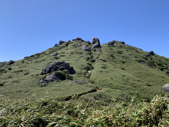 ヤクザサの大海原と、花崗岩が点在する山頂付近（イメージ）