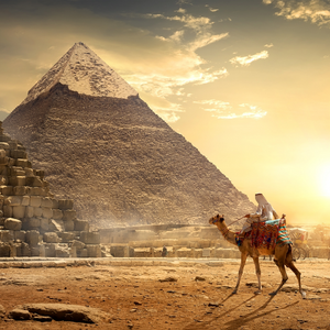 世界遺産観光＆ホームステイ体験 ルクソール・カイロ周遊エジプト6日間