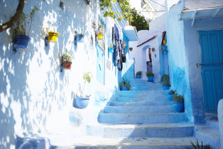 【シェア旅】シャウエンの街を青く塗ろう！
街ごとの文化に触れる モロッコ周遊9日間