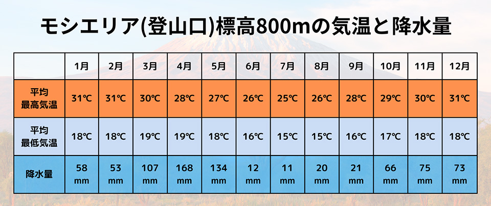 モシエリア標高800mの気温と降水量