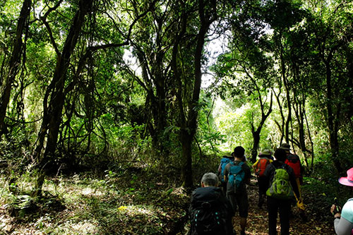1日目：マラングゲート⇒マンダラハット