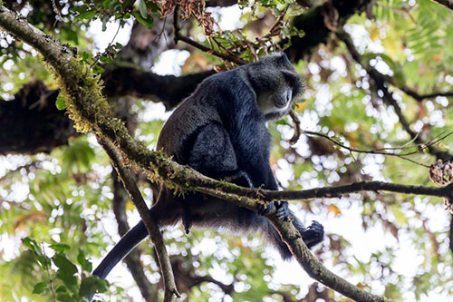 1日目：マラングゲート⇒マンダラハット