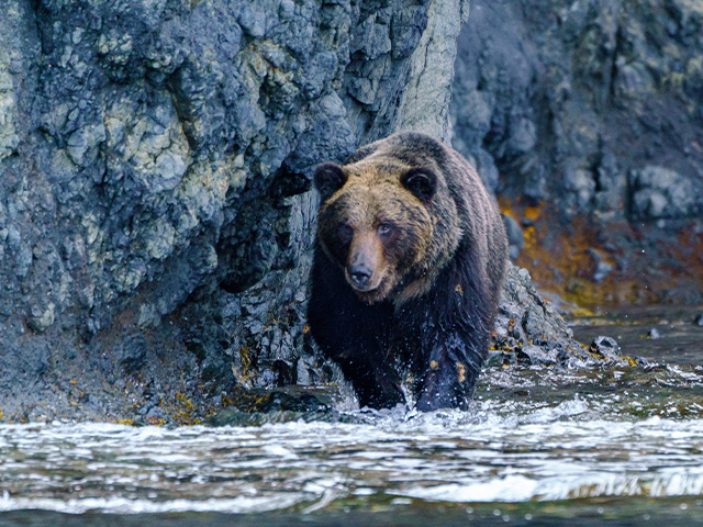 知床（北海道）