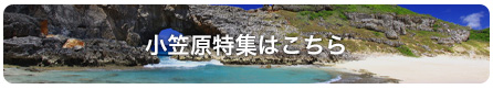 小笠原特集はこちら