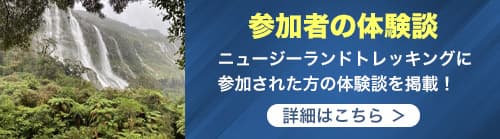 参加者の体験談
