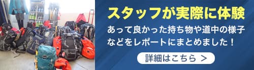スタッフが実際に体験