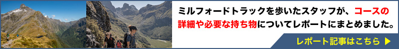 レポート記事はこちら