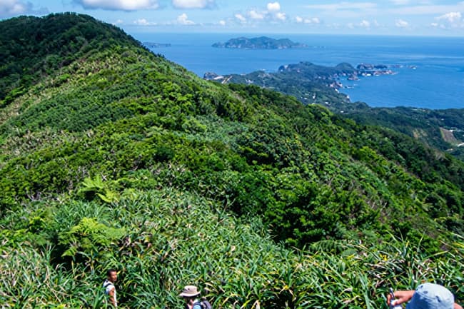 母島へ日帰り島内観光