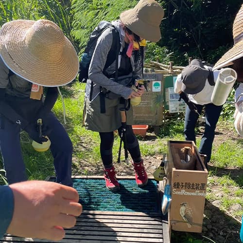 独自進化した生態系