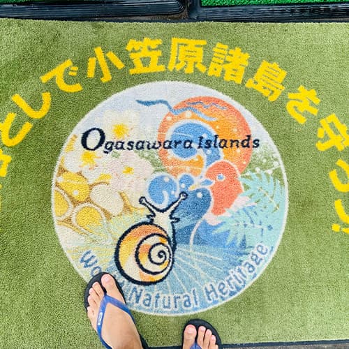 保全活動