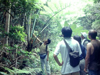 森歩きツアー（半日）