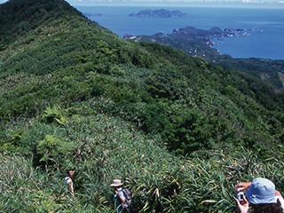 母島へ日帰り島内観光