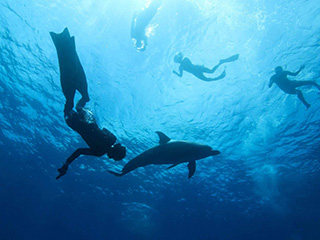 海のボートツアー