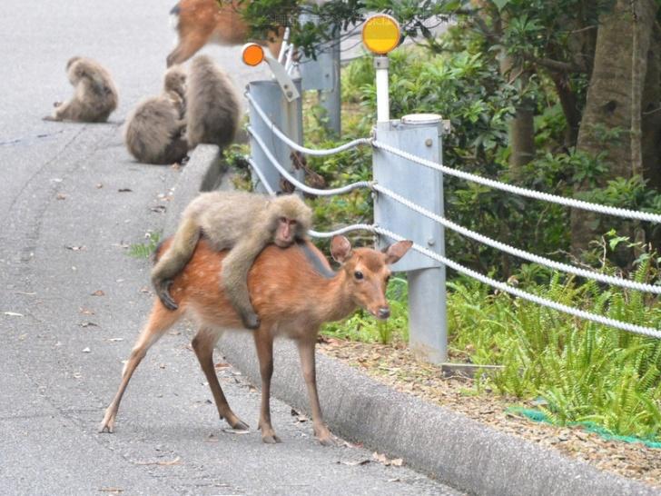 参加の様子