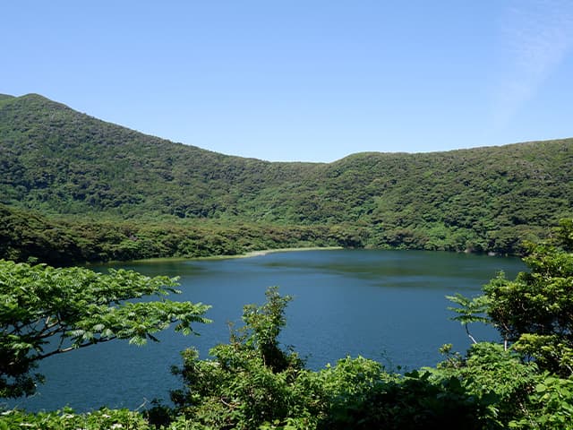 大路池
