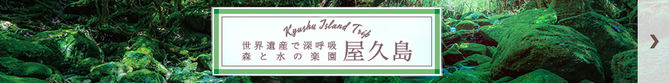 屋久島旅行・屋久島ツアー