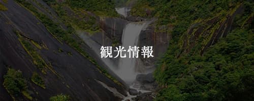 観光情報