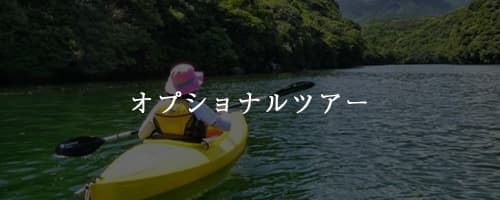 オプショナルツアー