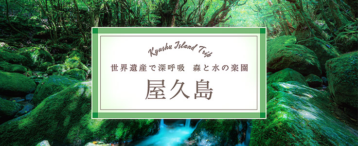 屋久島旅行・屋久島ツアー
