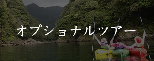 オプショナルツアー