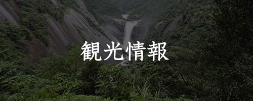 観光情報