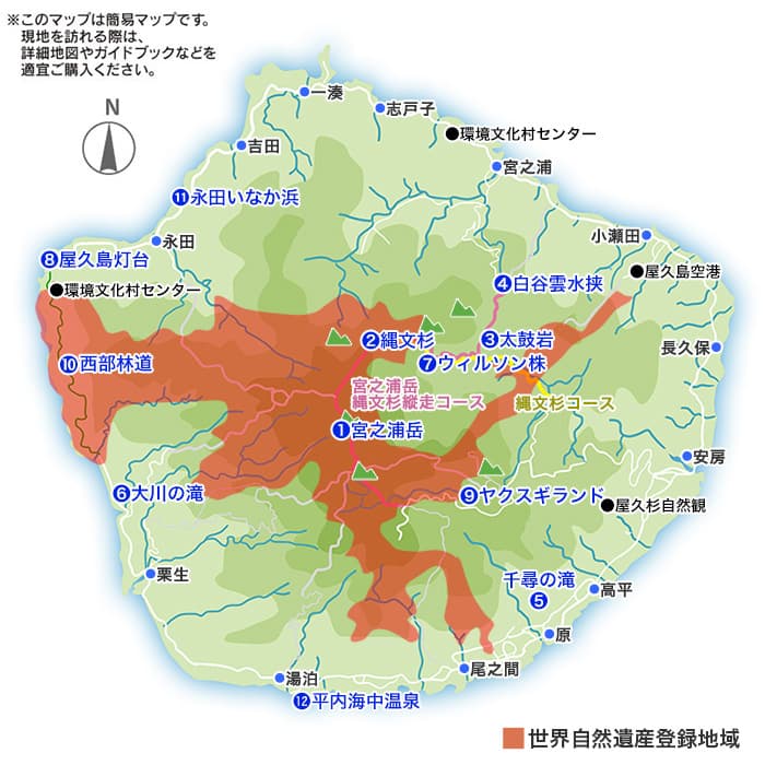 観光情報