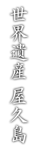 世界遺産屋久島