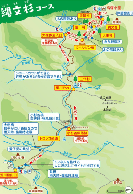 縄文杉コース