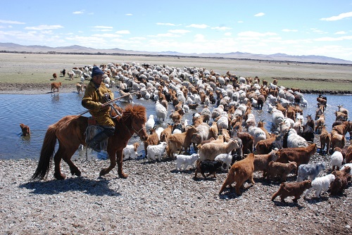 ★5/1出発限定★大草原の春を探しに旅に出よう！ 遊牧民の生活体験と交流を楽しむ  モンゴル遊牧体験6日間