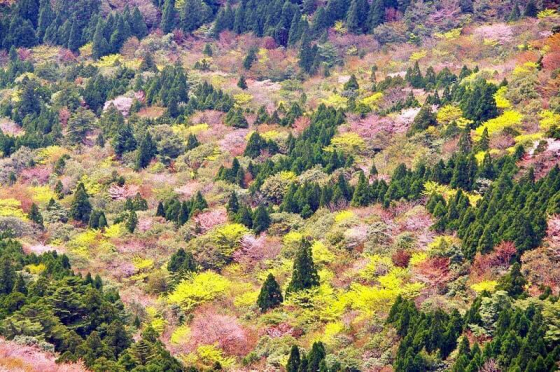 太鼓岩からの眺め(イメージ)