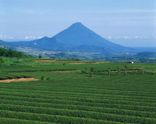 開聞岳(イメージ)　写真提供：公益社団法人　鹿児島県観光連盟