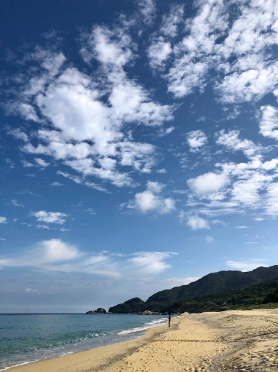 ラムサール条約に登録されている永田いなか浜