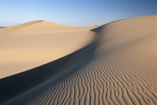 美しく広大なホンゴル砂丘（イメージ）