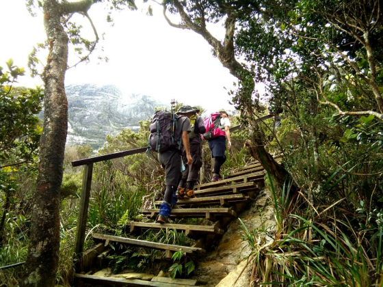 登山イメージ(階段箇所)