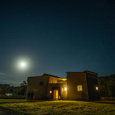 erba stellaの意味はイタリア語で「星の草」